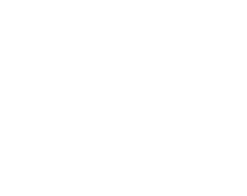 KiN Experience